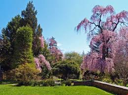 REAL STONE ENTERPRISES LLP